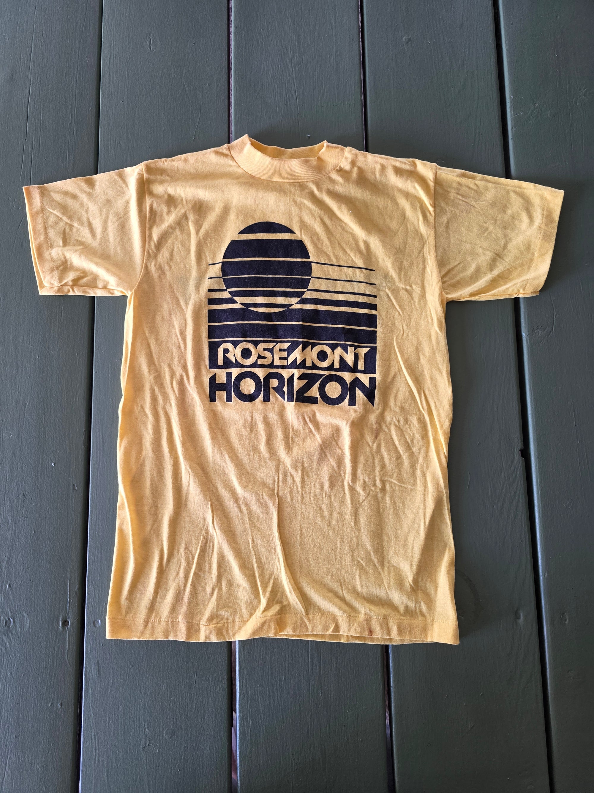 80s Rosemont Horizon