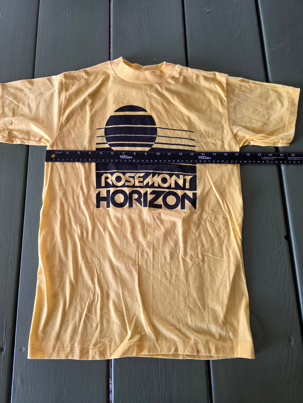 80s Rosemont Horizon