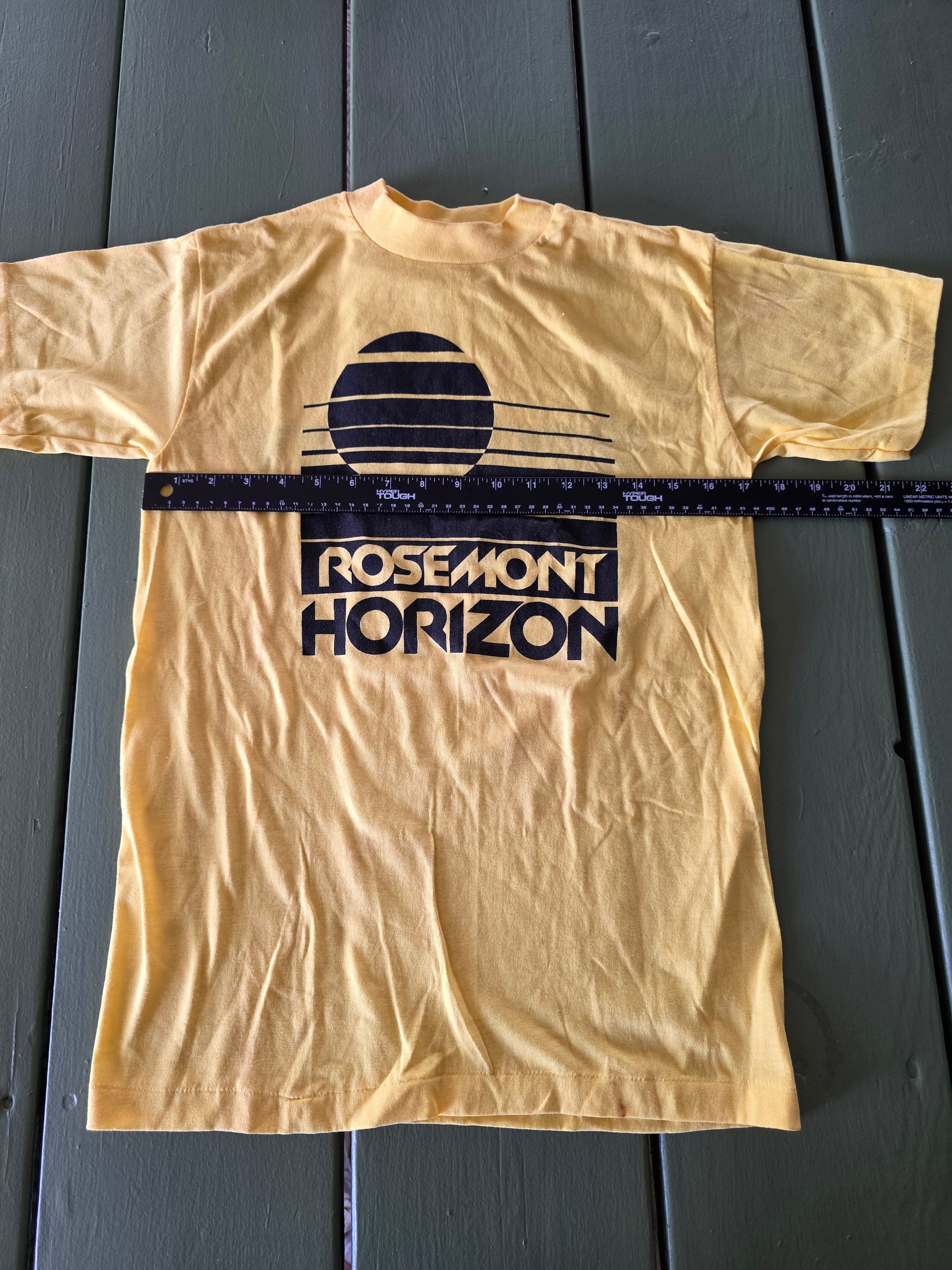 80s Rosemont Horizon