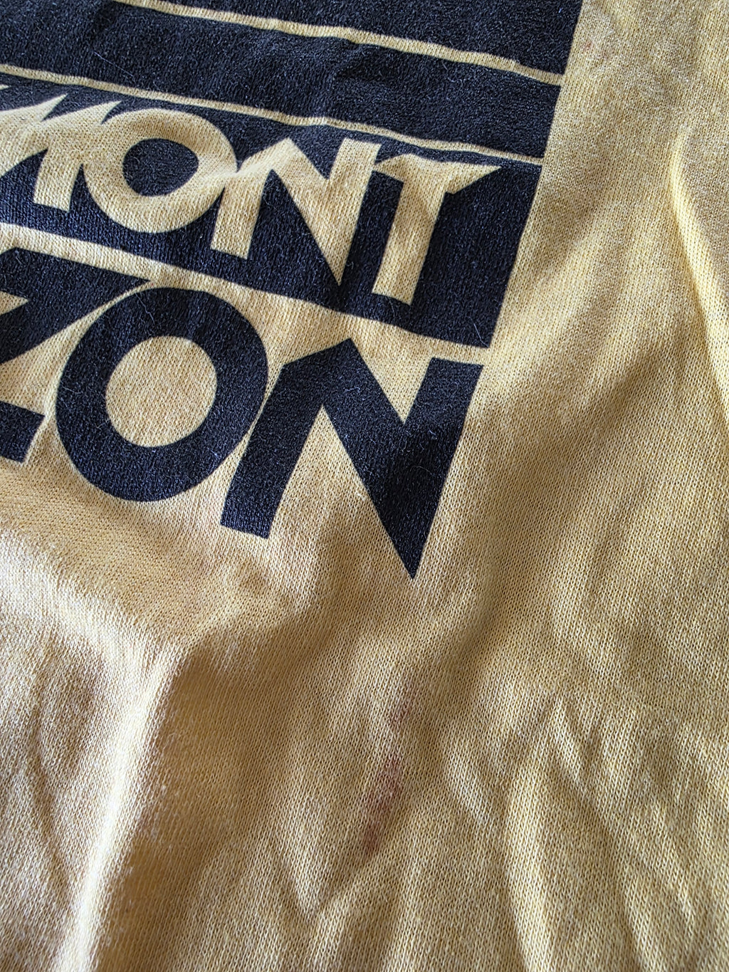 80s Rosemont Horizon