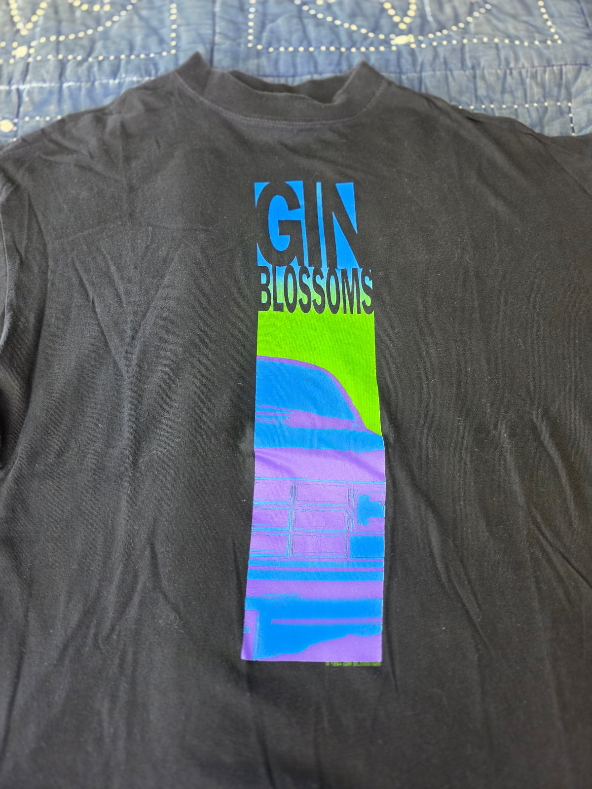 90s Gin Blossoms Large