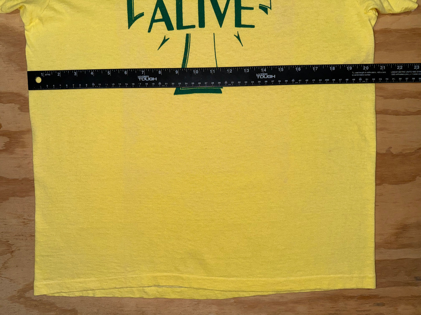 70s Faith Alive Large